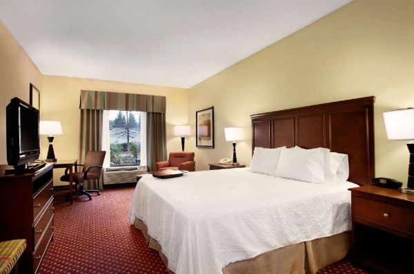 Hampton Inn By Hilton Atlanta-Stockbridge image 11